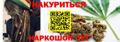 крисы Будённовск