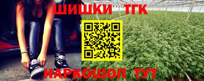 крисы Будённовск