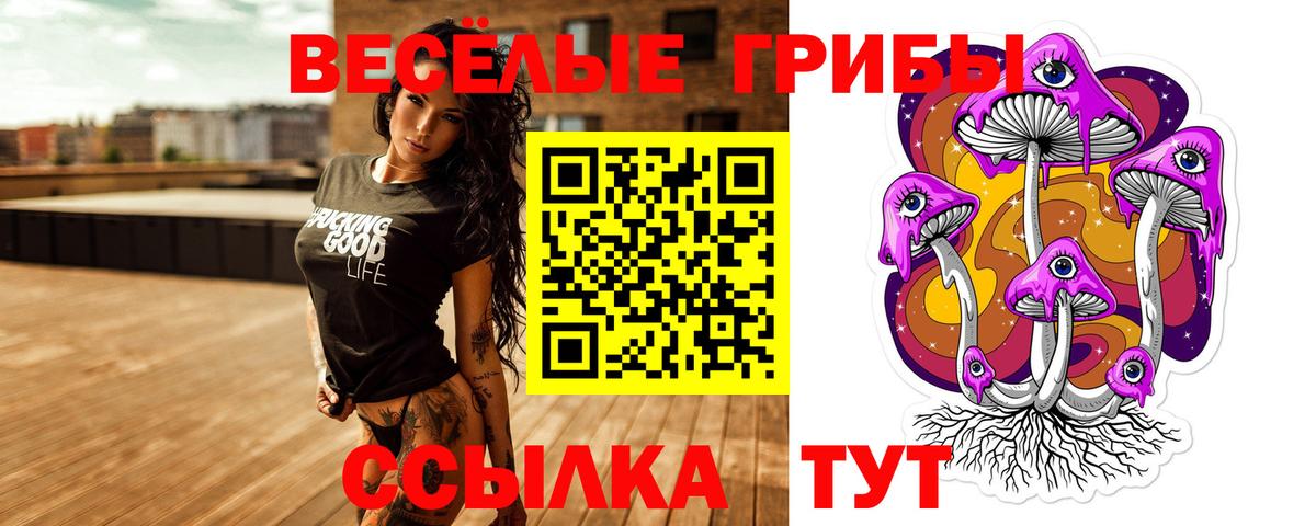 Псилоцибиновые грибы мицелий Крымск